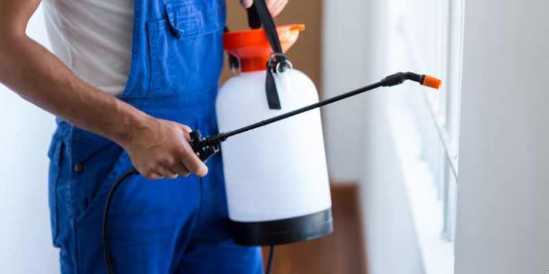 Como Fazer Dedetização em Casa em Barueri: 4 Dicas Simples Como fazer dedetização em casa em Barueri