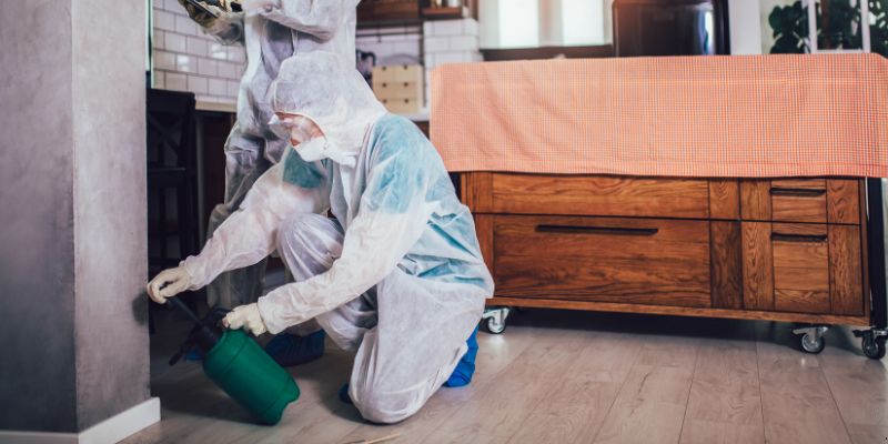 Dedetização em Apartamento Como Funciona em Barueri: Confira 4 Passos Dedetização em Apartamento Como Funciona em Barueri: Confira 4 Passos