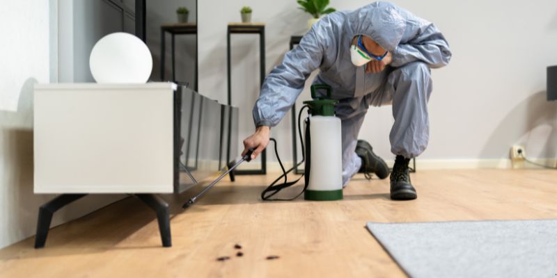 Quanto Tempo Dura Uma Dedetização em Barueri? Confira! Quanto tempo dura uma dedetização em Barueri?